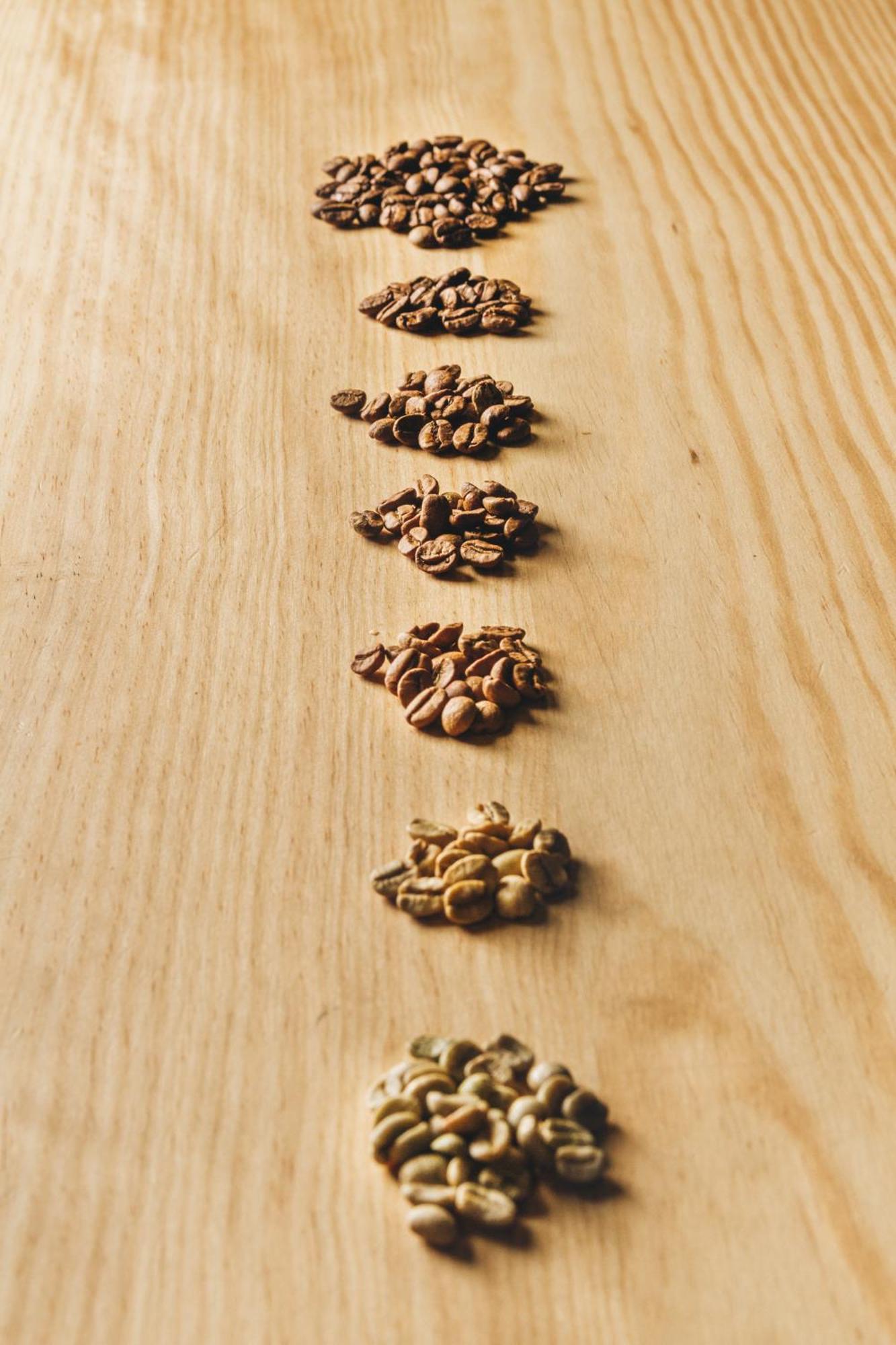 7 Gaia Roaster *